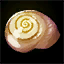 Icon itemmisc generic shell 02