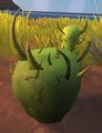 Overgrowncactus