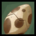 Icon itemmisc egg 0001.36
