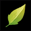 Icon itemmisc generic plantleaf 01
