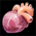 Icon itemmisc genericheart.36