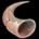 Icon itemmisc horn 02.36