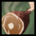 Icon itemmisc meat 0003.36