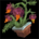 Icon itemmisc pottedplant.36