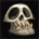 Icon itemmisc ui item skull.36