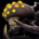 Icon pets icon goldspinnerspider.36