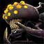 Icon pets icon goldspinnerspider