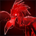 Icon pets icon holoparrot.36