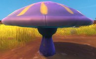 Curiouspurplemushroom