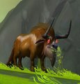 Contaminated galehorn bull